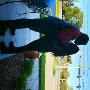 Meet your Posher, Lewis